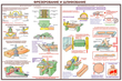 ПС09 Безопасность труда при деревообработке (бумага, А2, 5 листов) - Плакаты - Безопасность труда - магазин "Охрана труда и Техника безопасности"